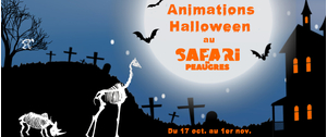 Ambiance halloween pour la Toussaint au Safari de Peaugres 