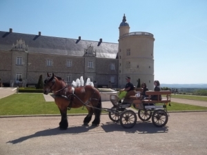 Balade en calèche dans le parc du Château de Bouthéon - Journées du Patrimoine 2022