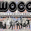 affiche WOCO - Tribute to Stevie Wonder