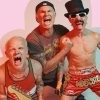 affiche RED HOT CHILI PEPPERS